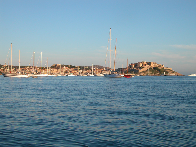 Calvi