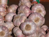 Klicken für grosses Bild