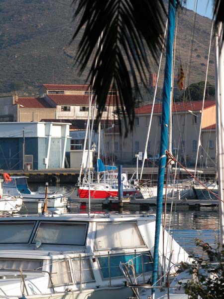 Suleika in Port Vendres 