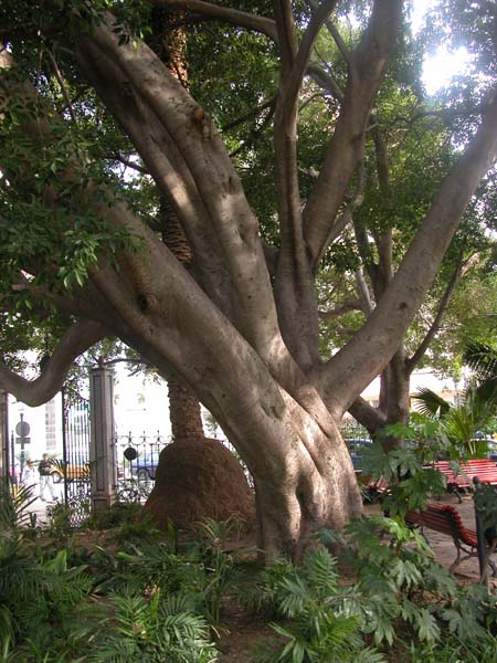Park in Marbella 