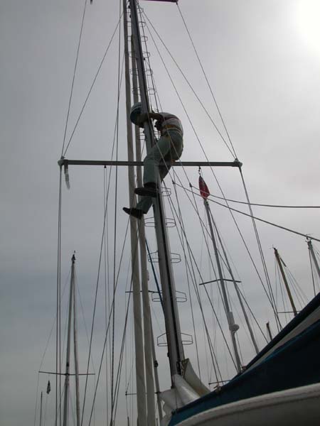 Martin im Mast 