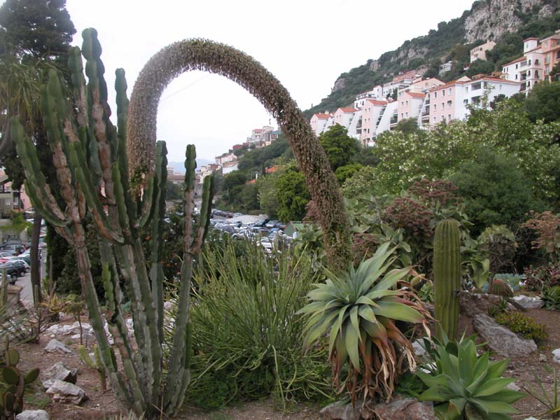 Botanischer 