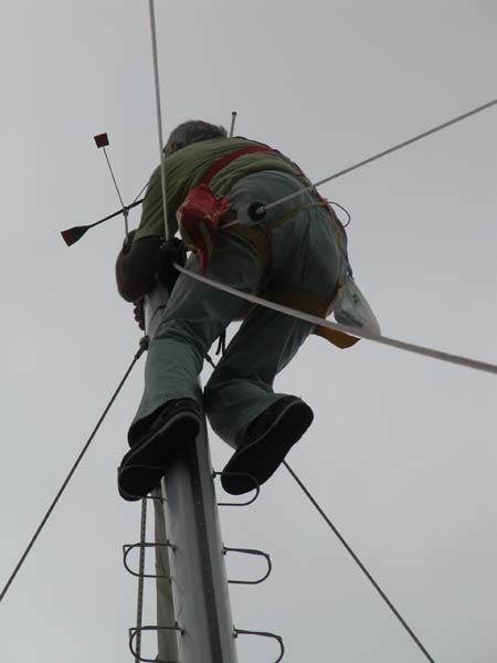 Martin auf dem Mast 