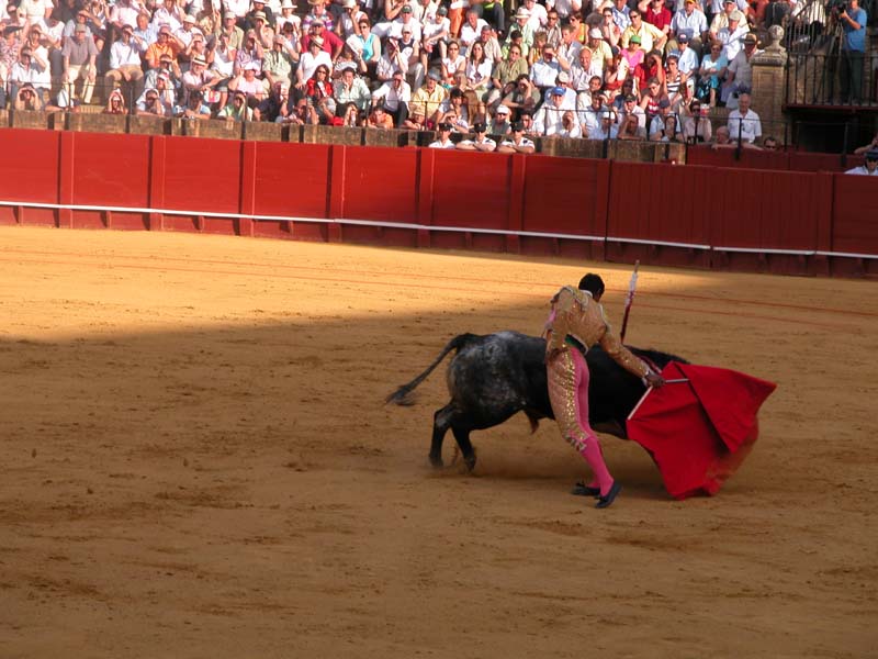 Torero 