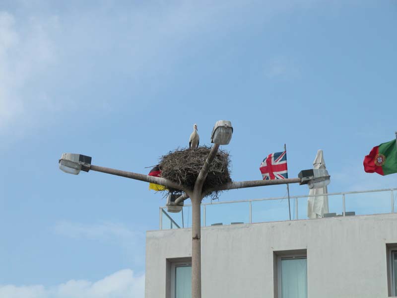Faro, 