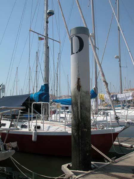 Ebbe 