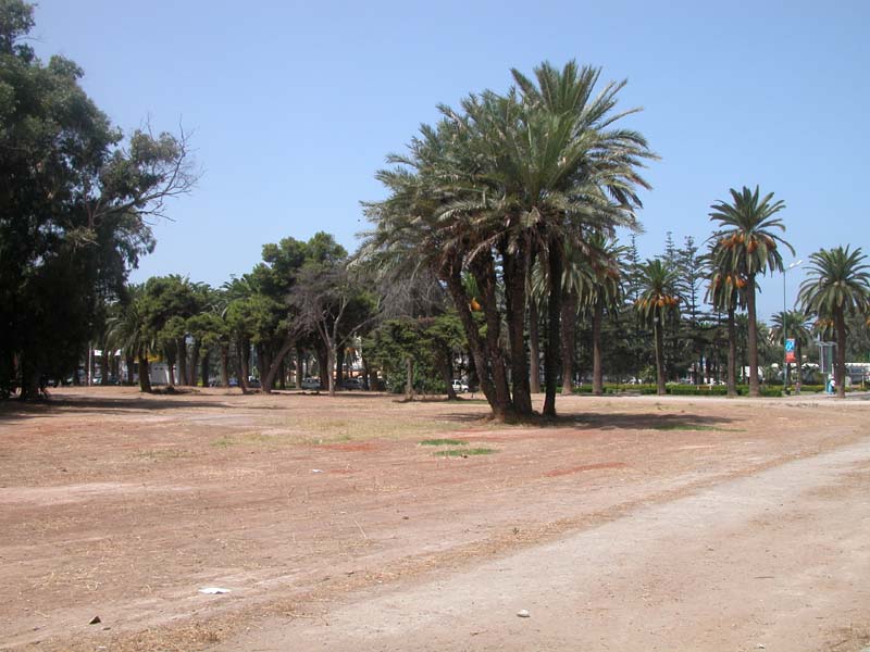 Stadtzentrum Mohammedia 