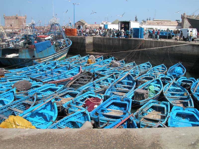 Im Hafen von Essaouira 