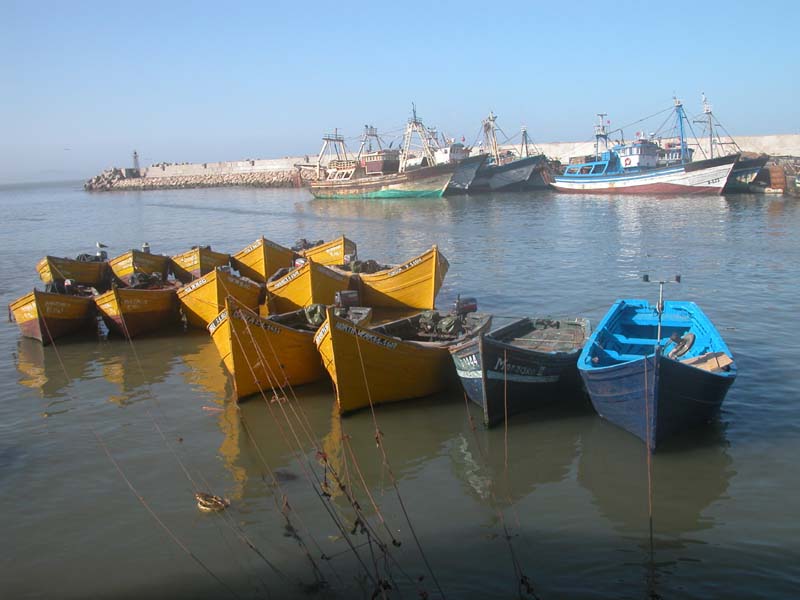 La vue du port 