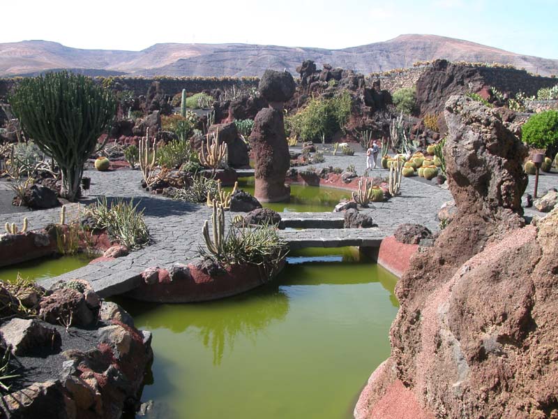 Kaktusgarten 