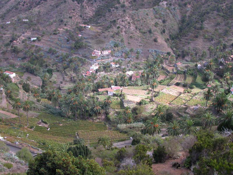 auf La Gomera 