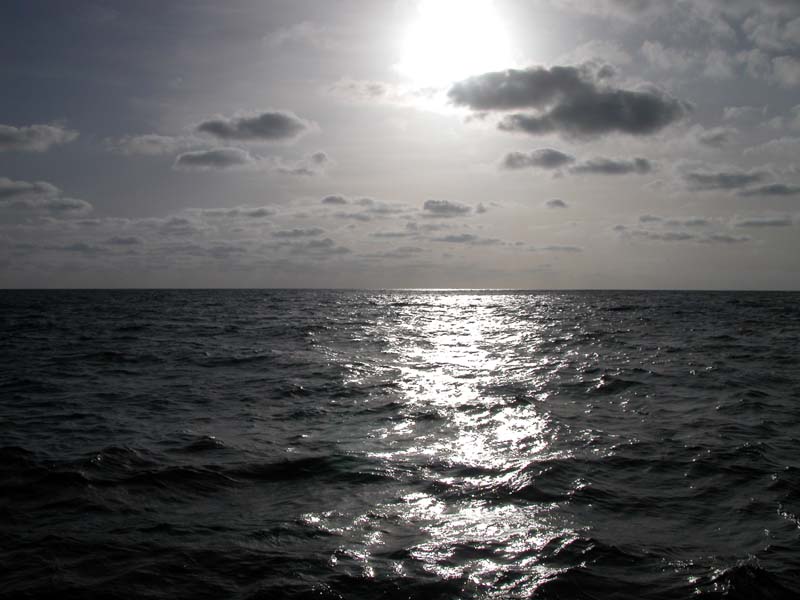 Auf dem Meer 