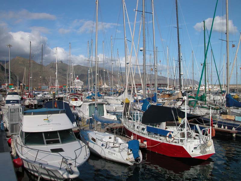 Suleika in der Marina del Atlantico 
