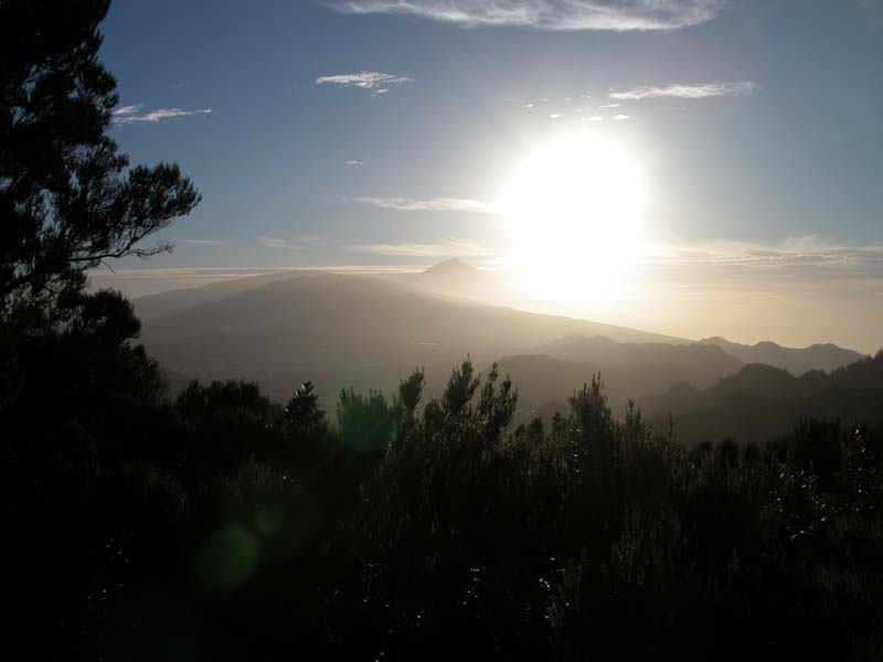 Teide im Gegenlicht 
