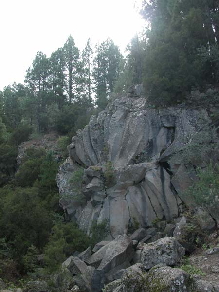 Lavarose 