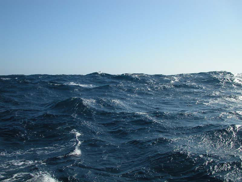 Meer 