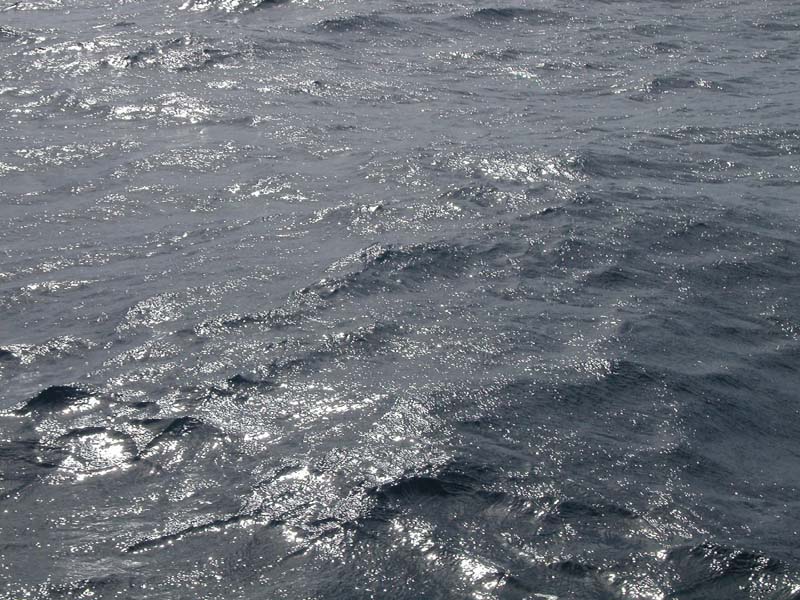 Meer 