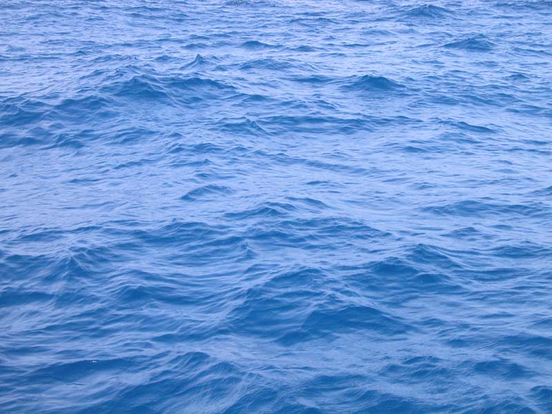 Es lächelt das Meer 