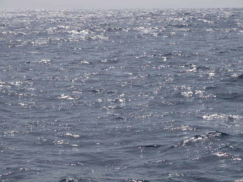 Meer 