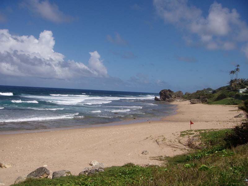 Bathsheba Beach 