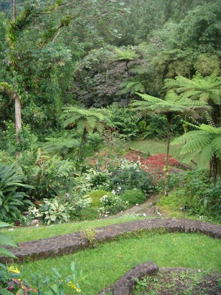 Schöner Garten 