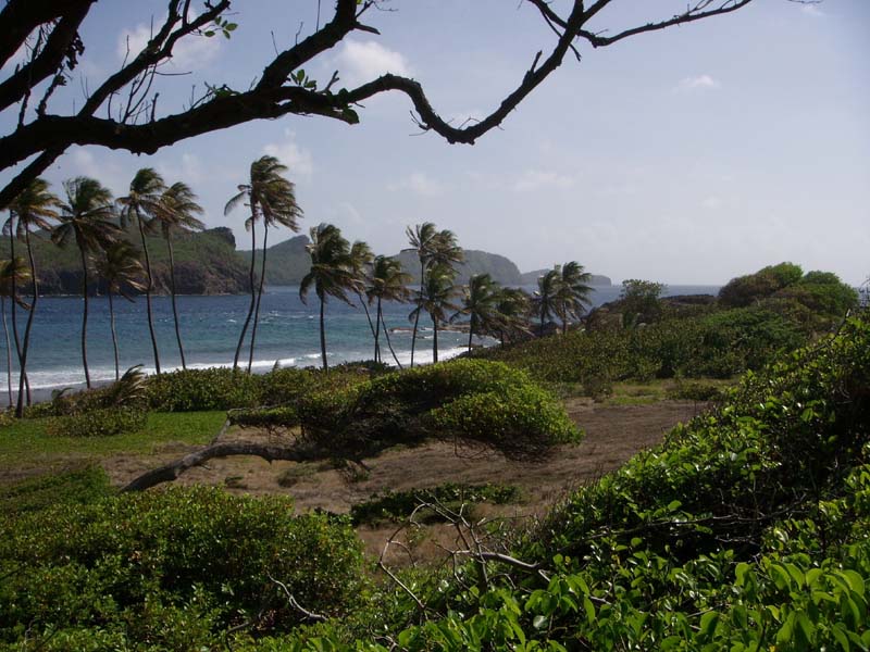 Luvseite von Petit Nevis 