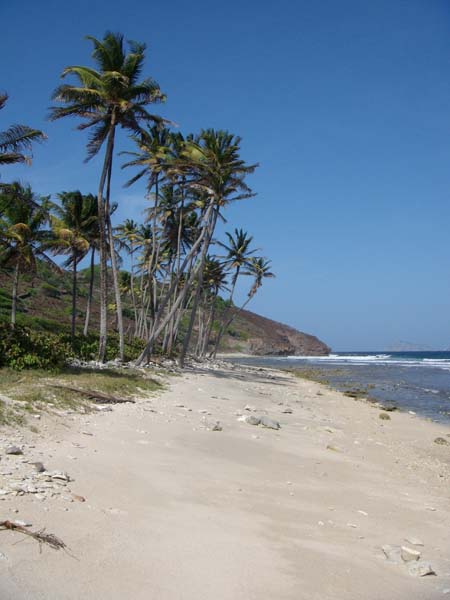 Einsamer Strand 