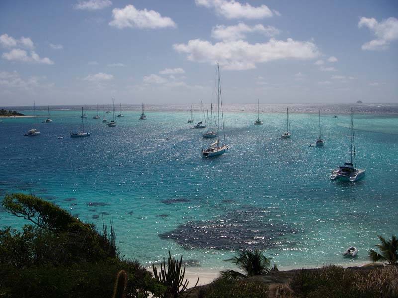 Tobago Cays – Kaleidoskop der Wasserfarben 