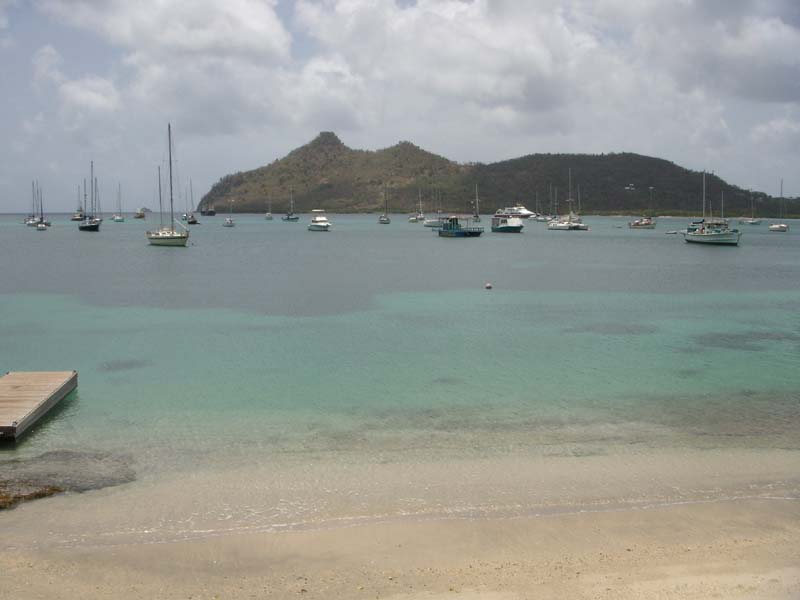 Tyrell Bay 