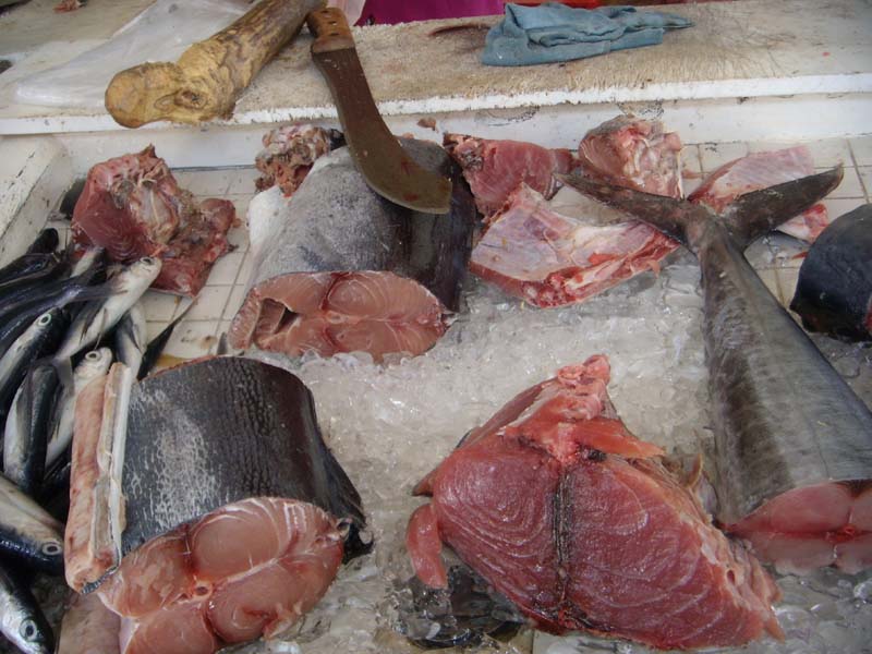 Stand auf dem Fischmarkt 