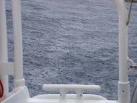 Klicken für grosses Bild