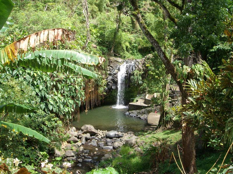 Annadale Falls 