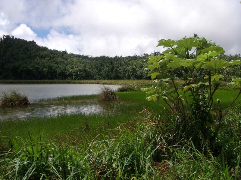 Kratersee Grand Etang 