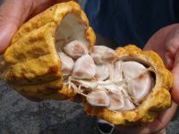 Klicken für grosses Bild