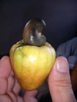 Klicken für grosses Bild