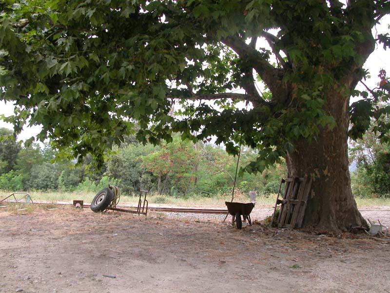 Tavera in Korsika (August 2005) 