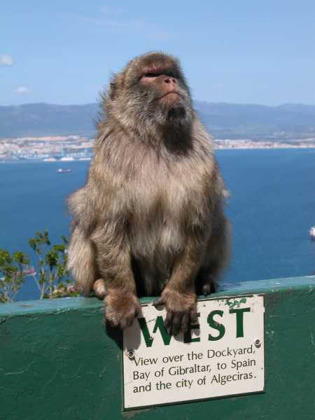 Aussicht nach Westen, Gibraltar (Mai 2006) 