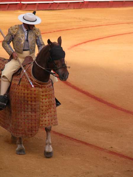Pferd mit verbundenen Augen, Stierkampf, Sevilla (Mai 2006) 