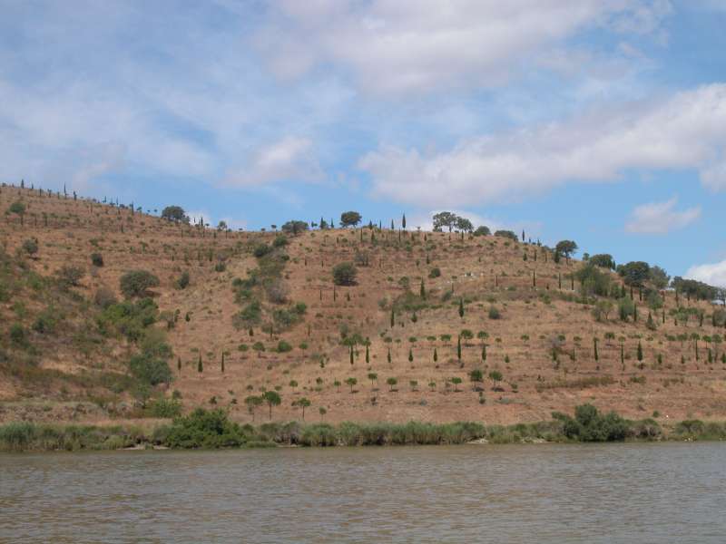 Río Guadiana, Portugal (Juni 2006) 