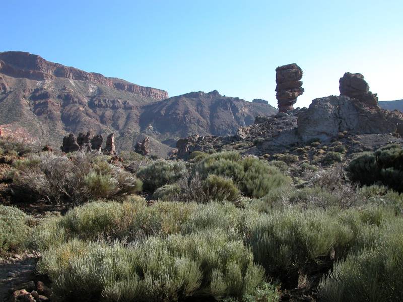 Beim Teide, Teneriffa (Dezember 2006) 