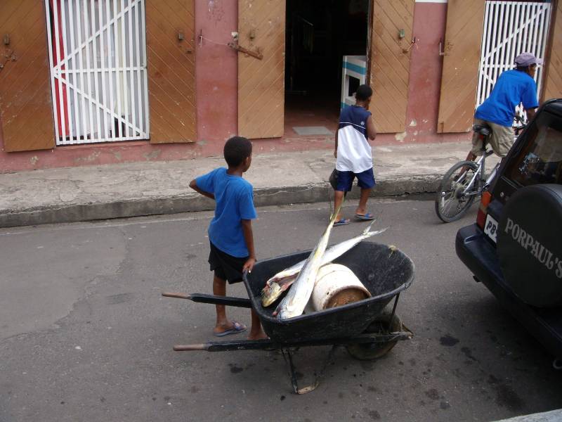 Junge mit Fisch, Soufriere, St. Lucia (März 2007) 