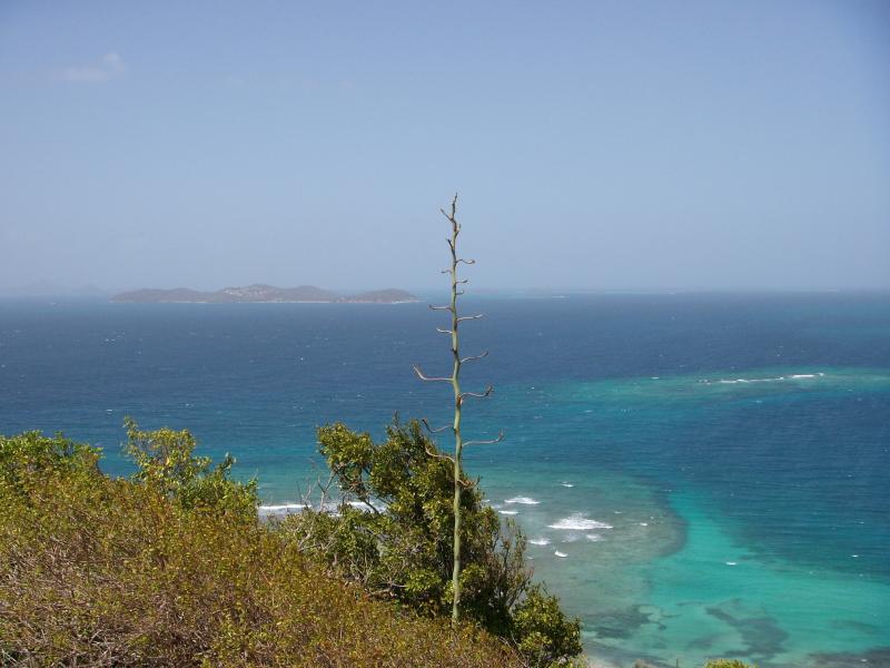 Blick auf Mayreau, Union Island, The Grenadines (Mai 2007) 