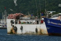 Klicken für grosses Bild
