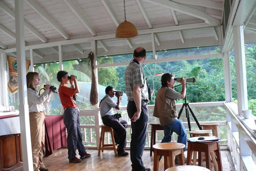 The Birders 