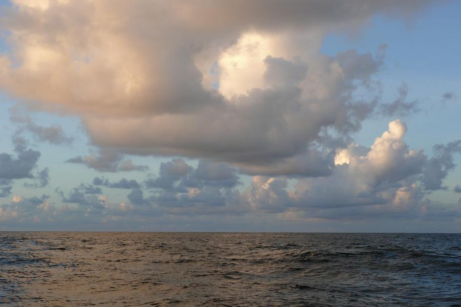 Passatwolken 