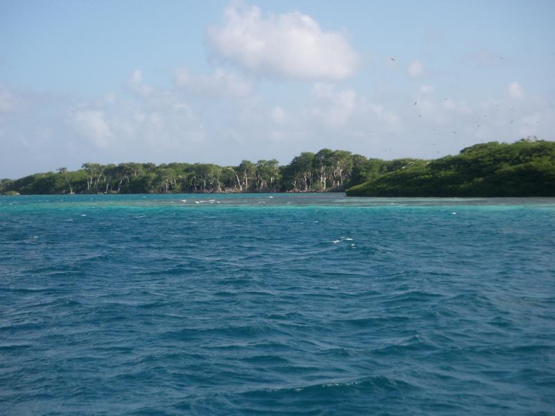 Aves de Barlovento, Venezuela 