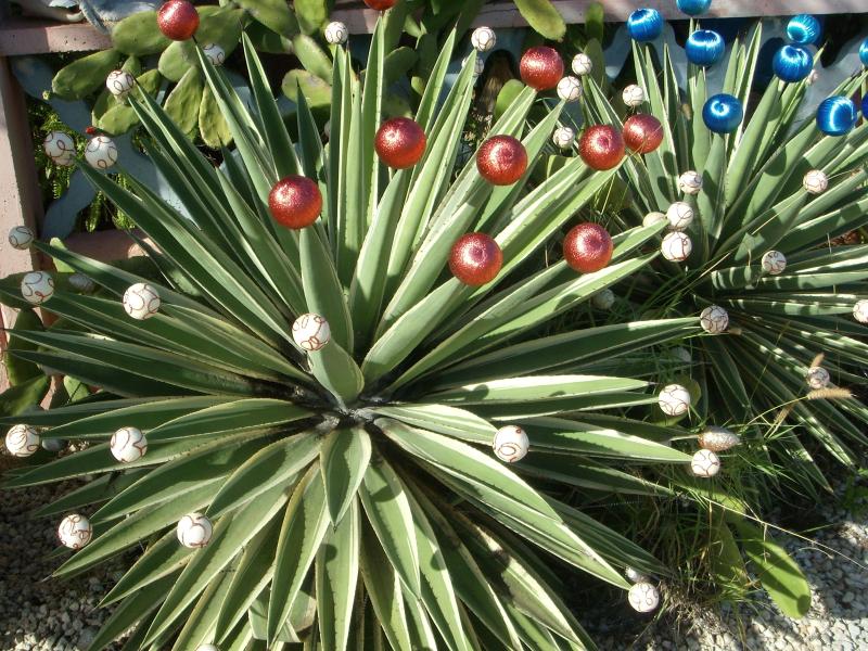 Weihnachtsdeko im Garten von Marlis 