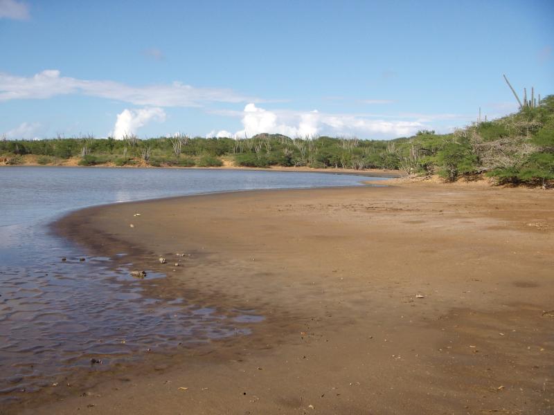 Saliña Wayaká 