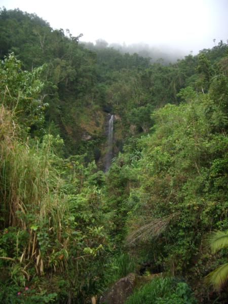 Jamaica, Land aus Wald und Wasser 