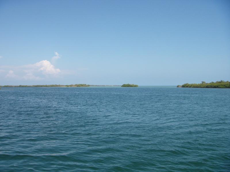 Cayo Algodón Grande 